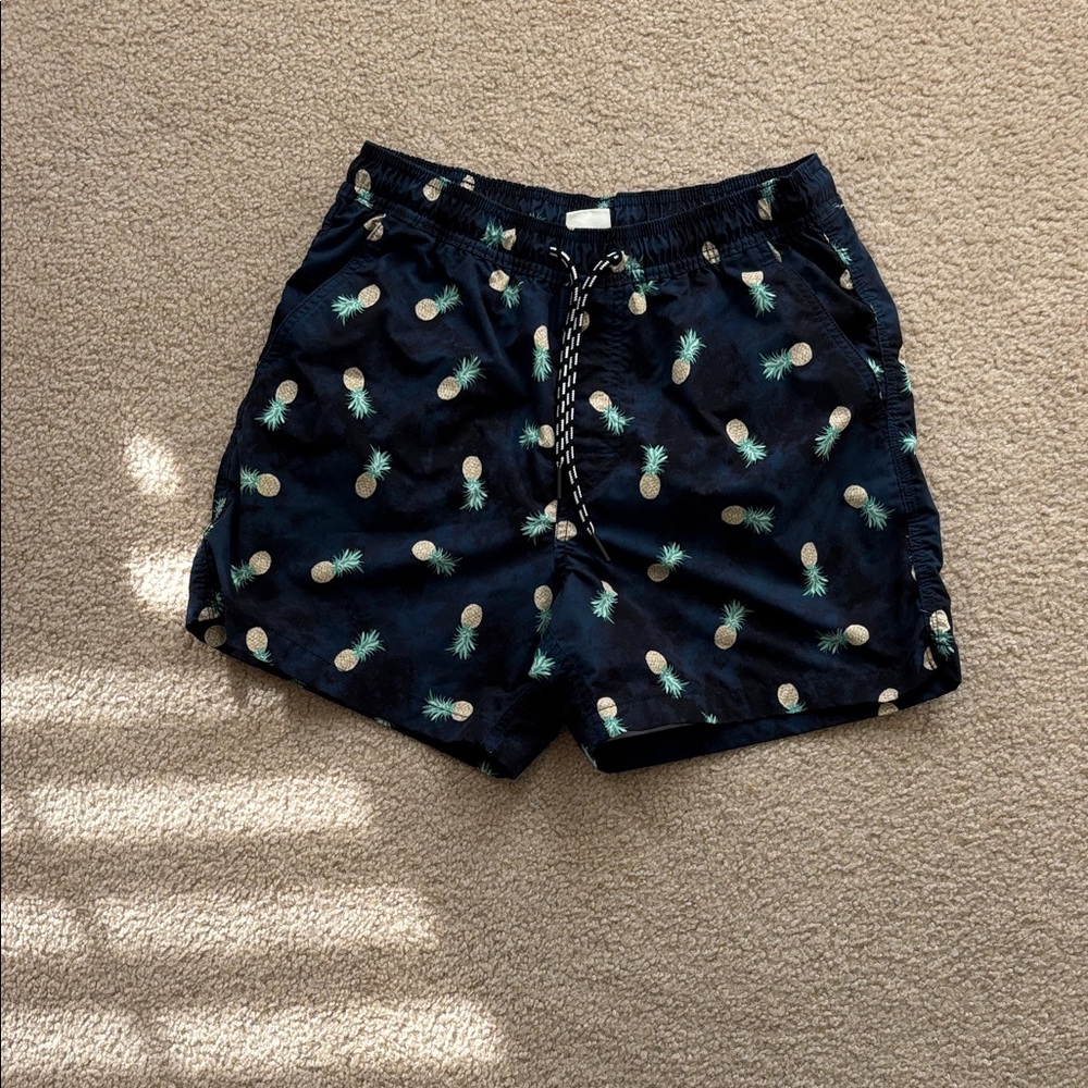American Eagle Outfitters Pineapple Print Swim Trunks - Navy and Green w/lining